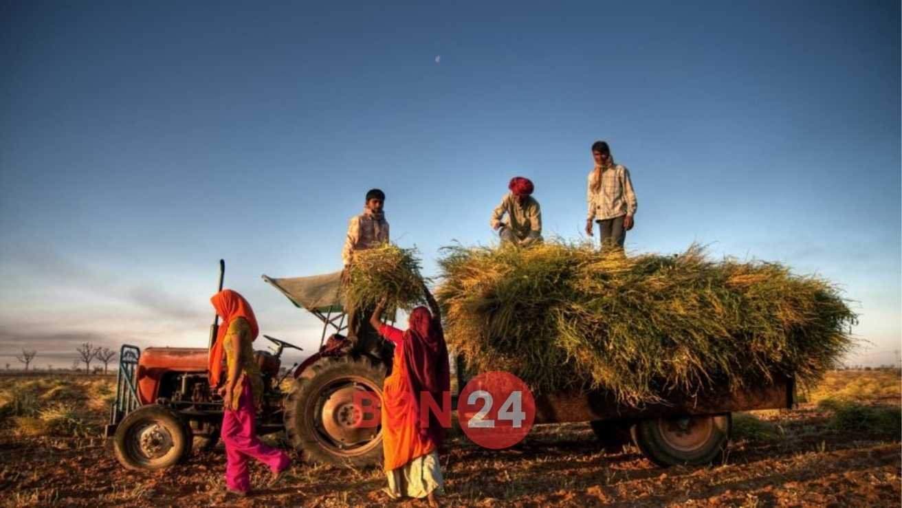 Agey Loan Scheme Interest Free Loan For Shg Members