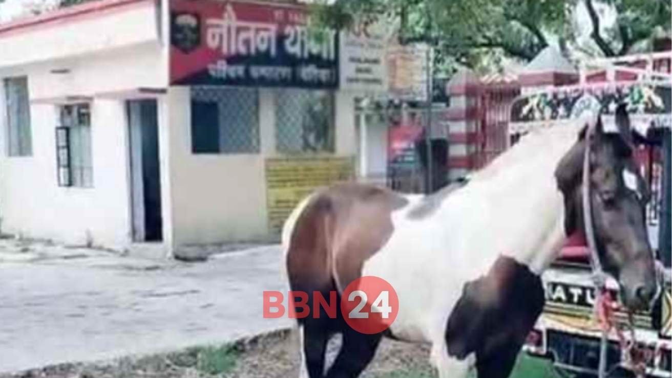 Bihar Horse Caught Smuggling Liquor