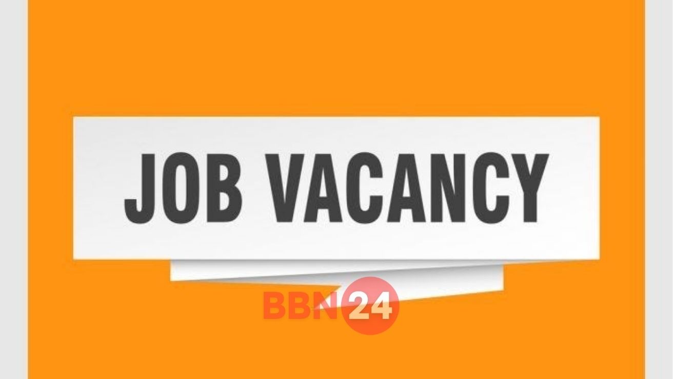 Sarkari Naukari Job Alert Bbn24