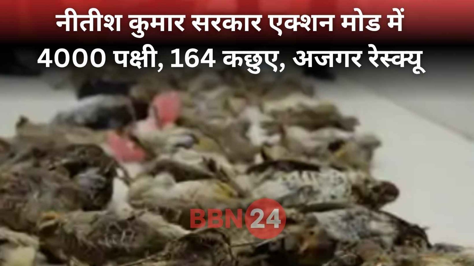 Animal Smuggling Crackdown In Bihar Nitish Kumar Government Action
