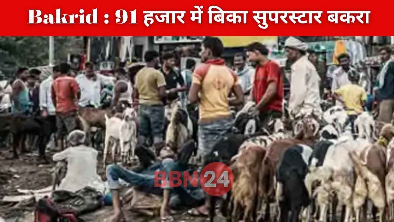 Bakrid 2025 Bakra Salman Aamir Sold Bihar Market