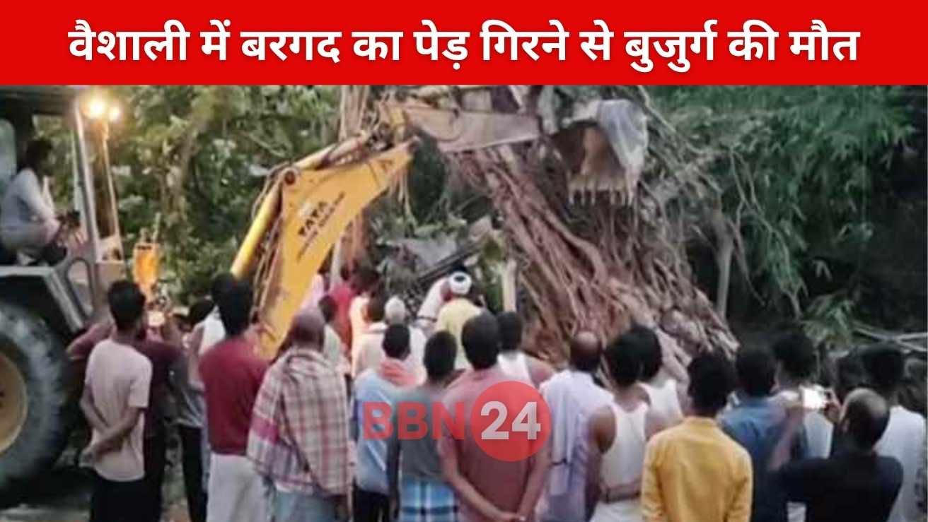 Bihar Vaishali Storm Tree Collapse Death