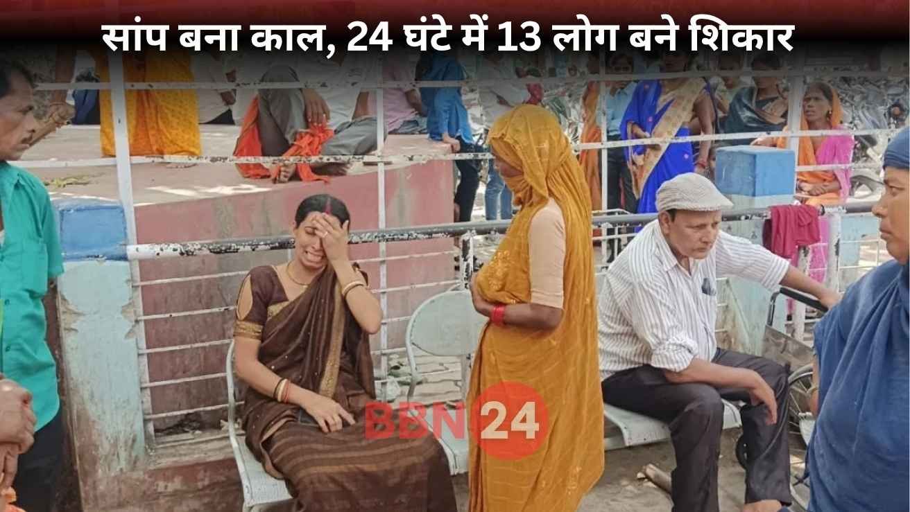 Gopalganj Snakebite Terror Bihar 2 Women Dead 13 Bitten