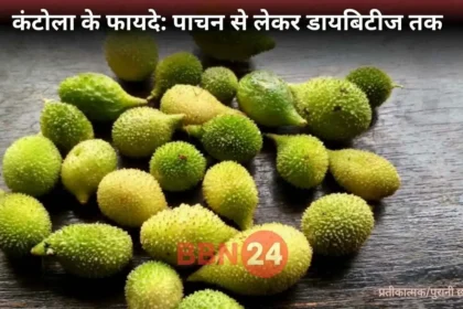 Kantola Benefits Health Diet Tips