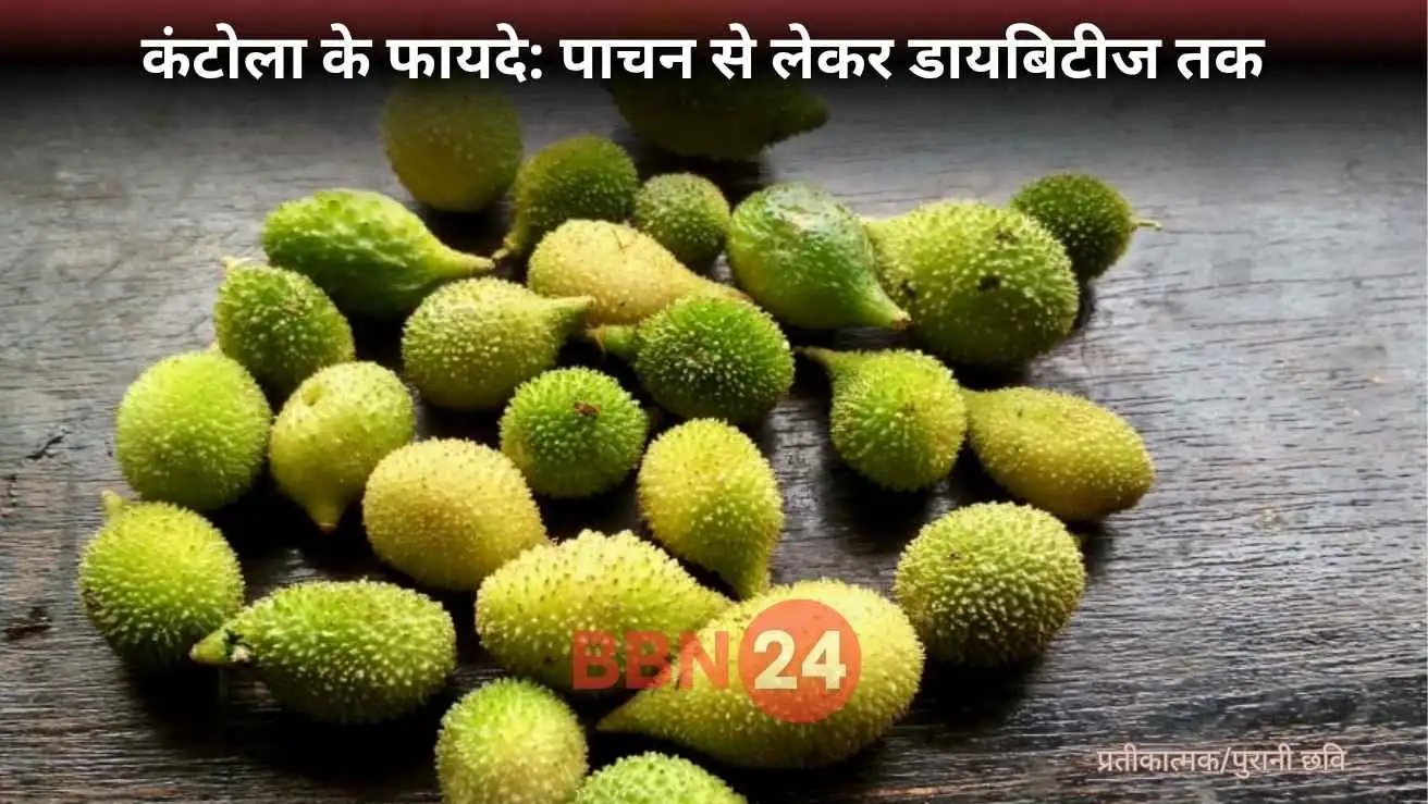 Kantola Benefits Health Diet Tips