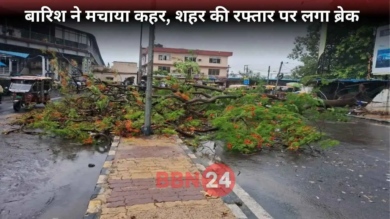 Ranchi Heavy Rainfall Trees Fallen Roads Damaged Alert