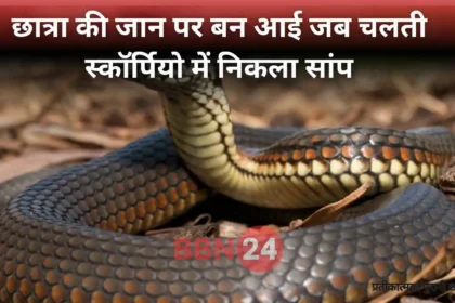 Snake Found Inside Car Jamui Ba Student Escapes