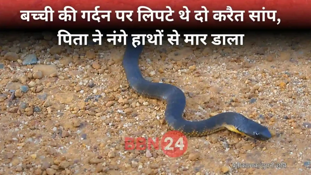 Bihar Father Saves Daughter From Two Snakes