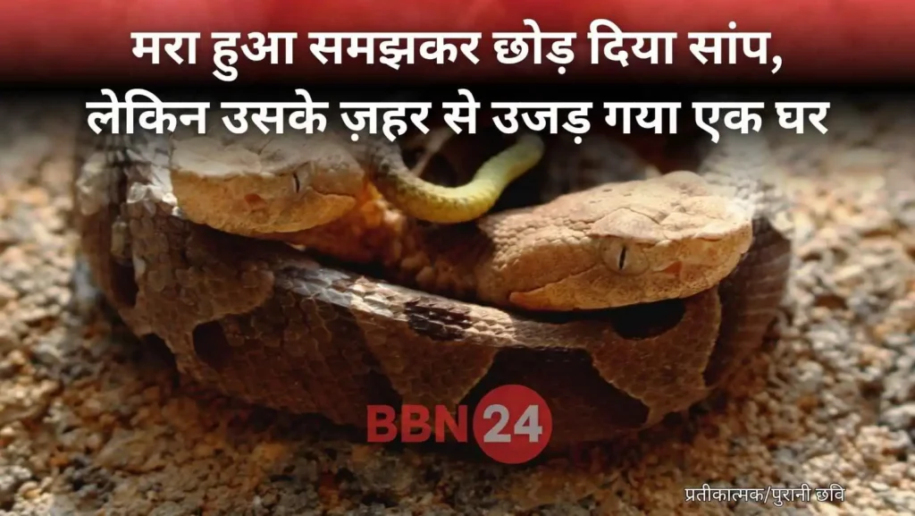 Child Dies From Bitten Snake In Saharsa