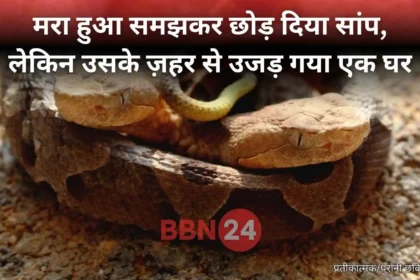 Child Dies From Bitten Snake In Saharsa