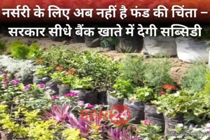 Govt Nursery Subsidy Bhagalpur Horticulture Mission