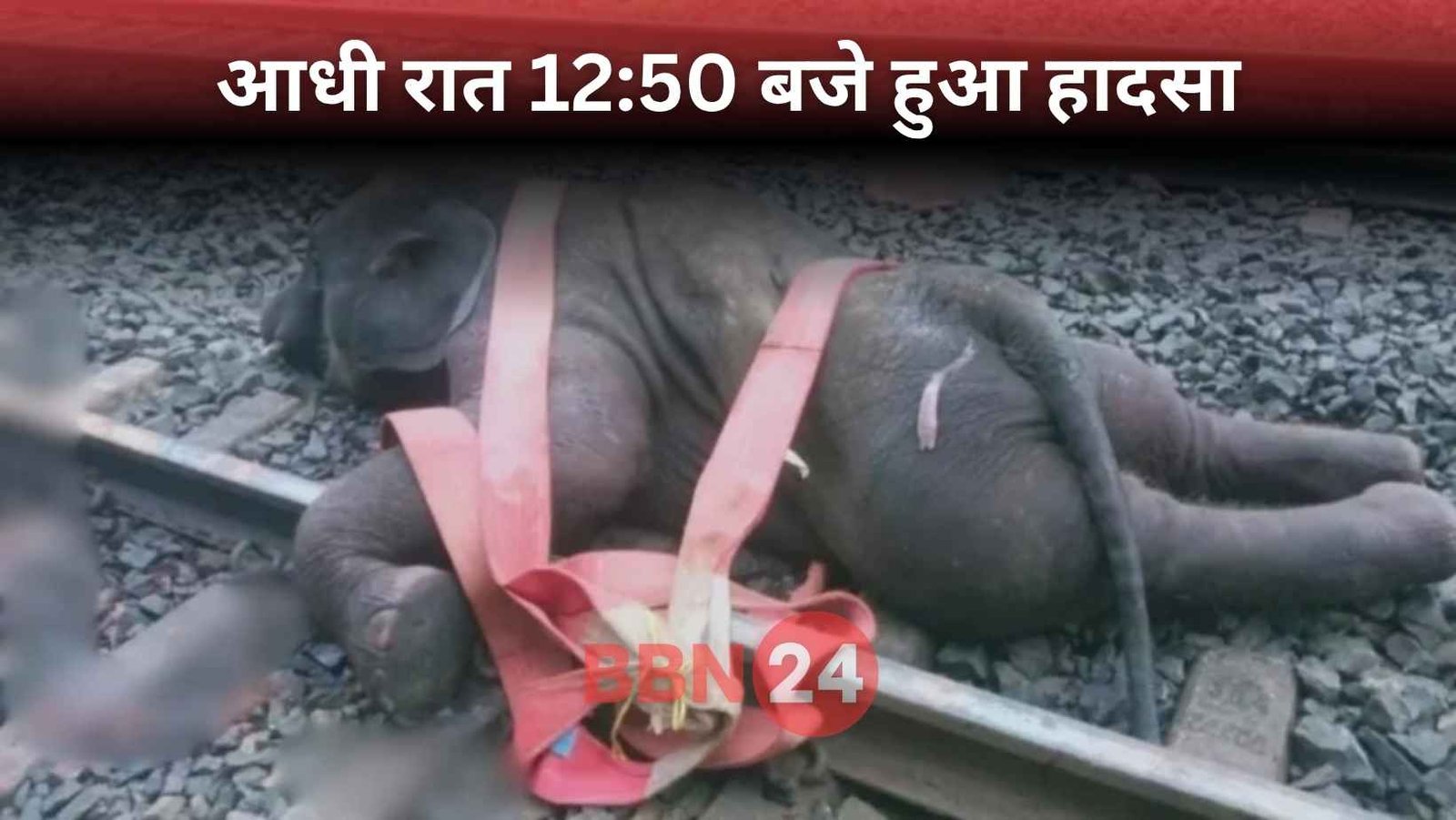 Jharkhand Train Accident Elephants Death Railway Silence