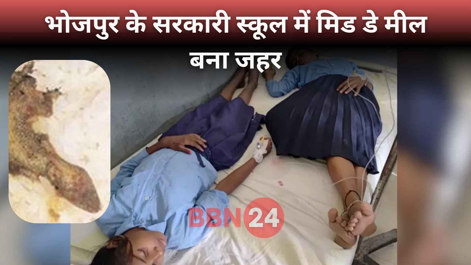 Lizard Found In Midday Meal 48 Children Sick In Bihar