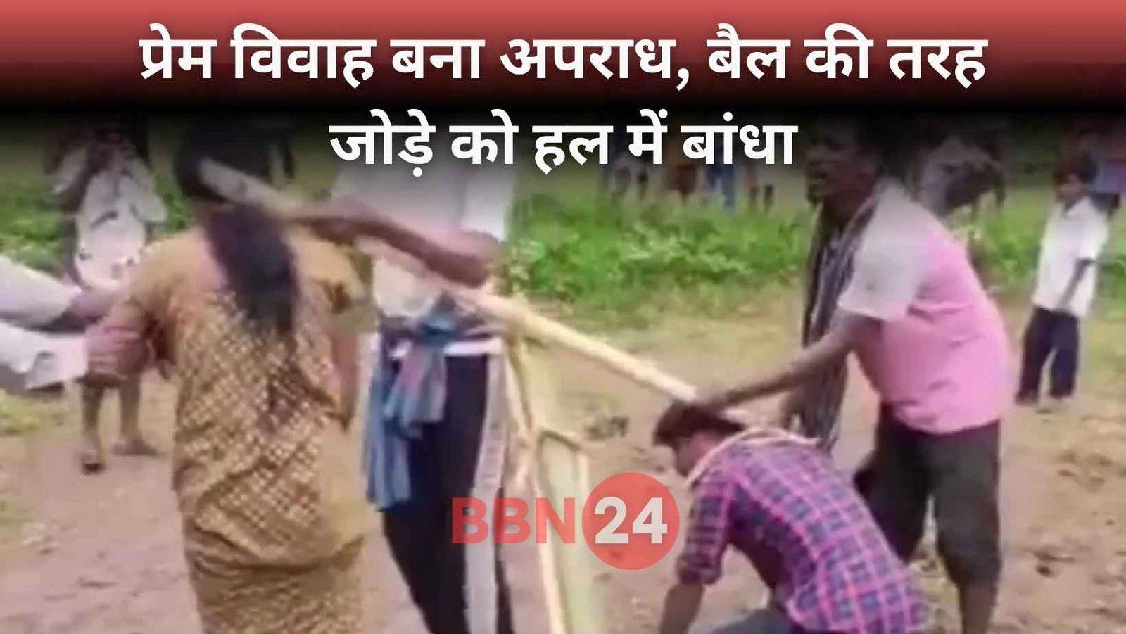Love Marriage Punishment Odisha Couple Tied Plough