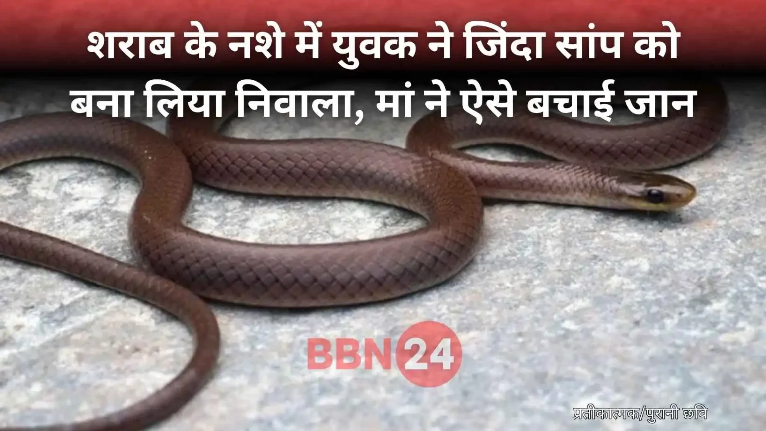 Man Eats Live Snake Banda Uttar Pradesh