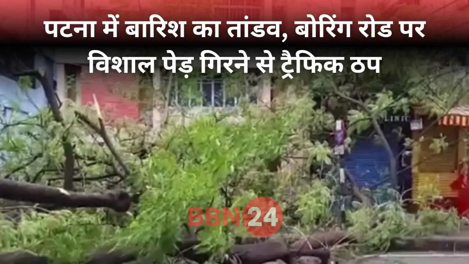 Patna Bihar Heavy Rain Tree Fall Alert
