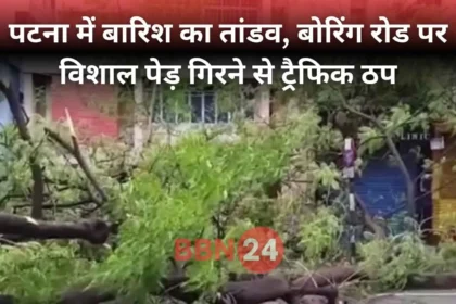 Patna Bihar Heavy Rain Tree Fall Alert