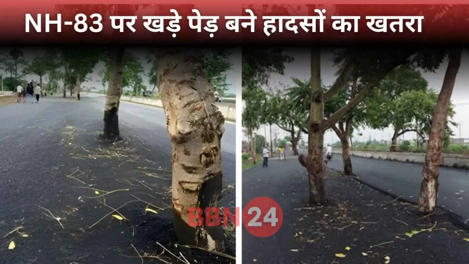 Trees Standing On Jehanabad Bypass Nh83 Bihar Forest Department Reply