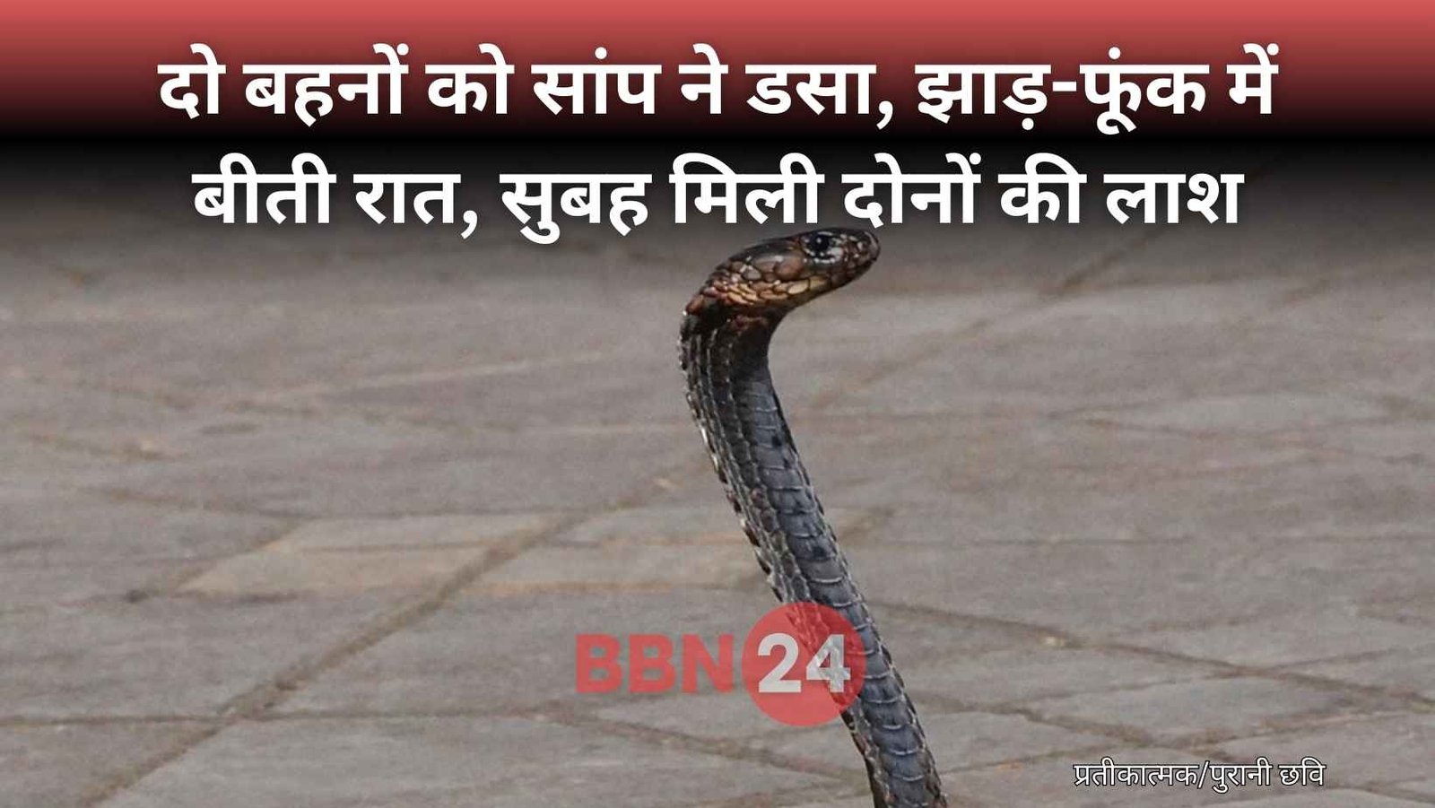 Two Sisters Died Snakebite Katihar Bihar