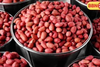 Peanuts Health Benefits