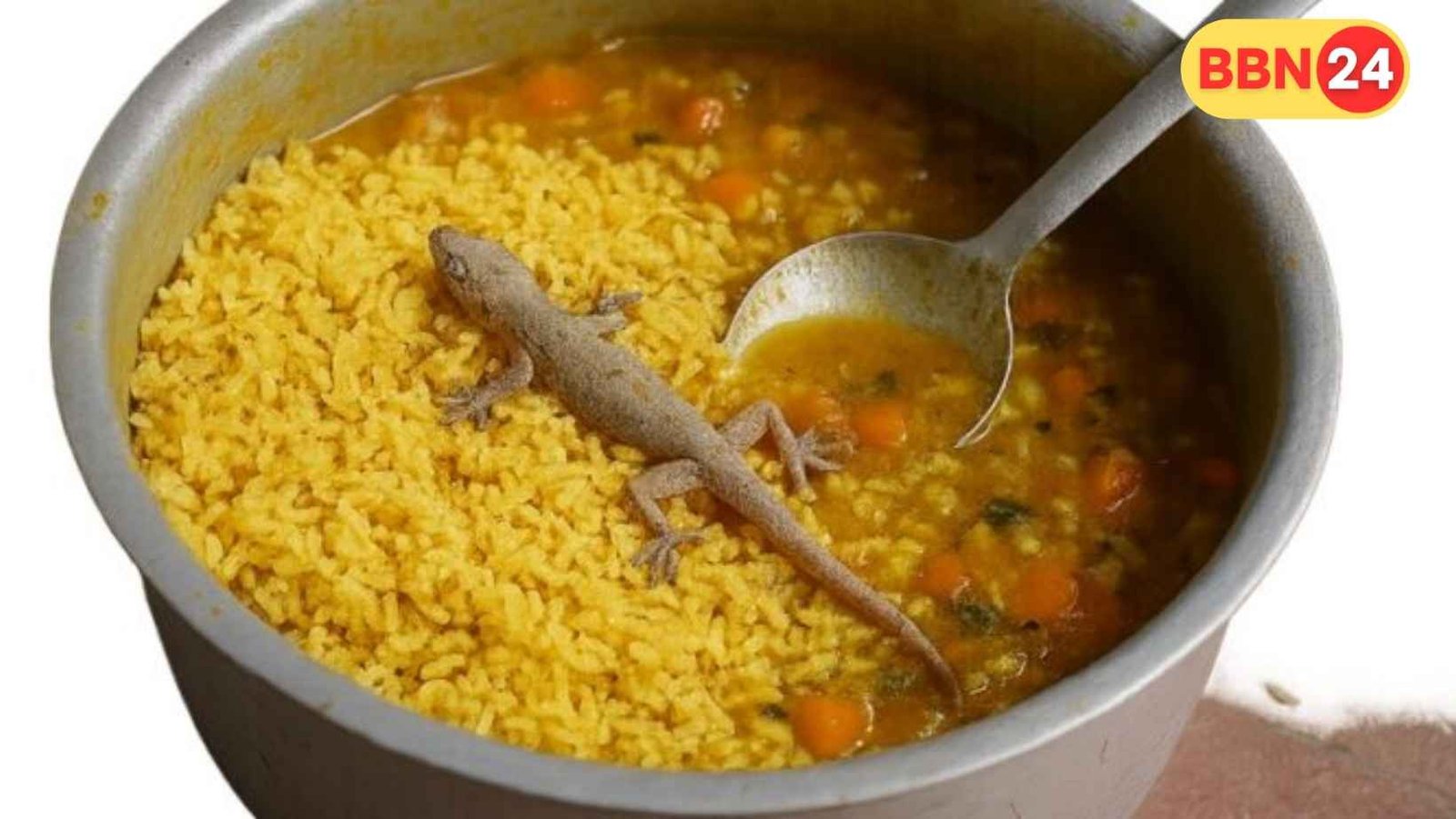 Muzaffarpur Mid Day Meal Lizard Children Sick