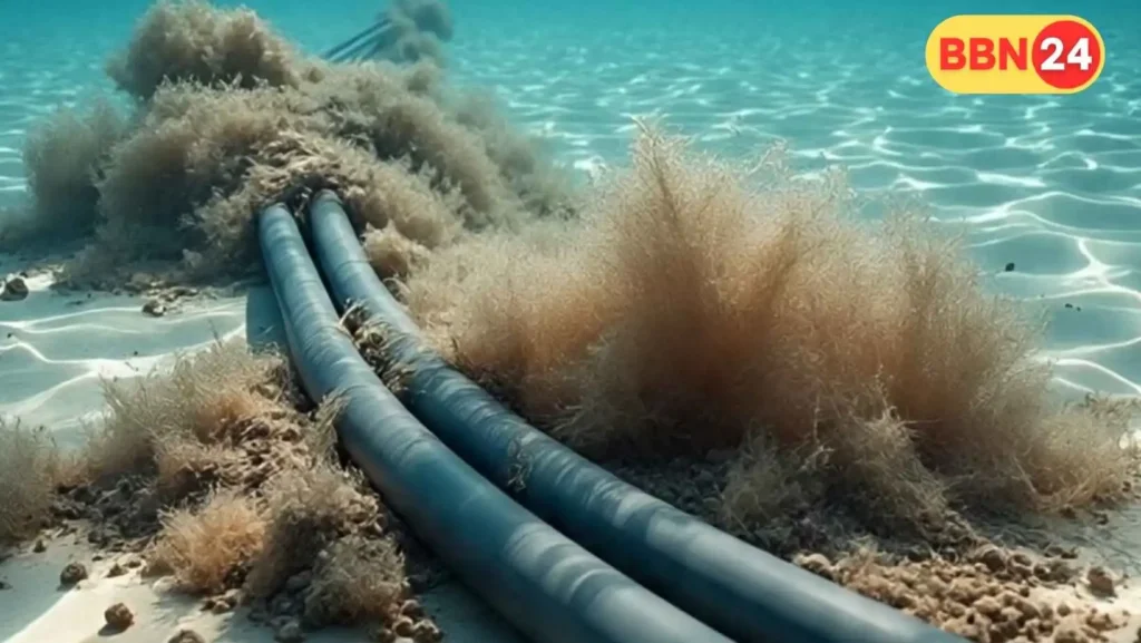 Red Sea Internet Cables Damaged Global Connectivity Affected