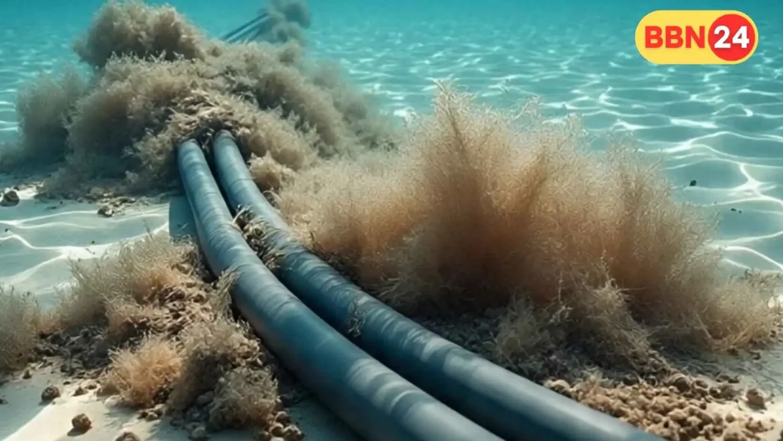 Red Sea Internet Cables Damaged Global Connectivity Affected