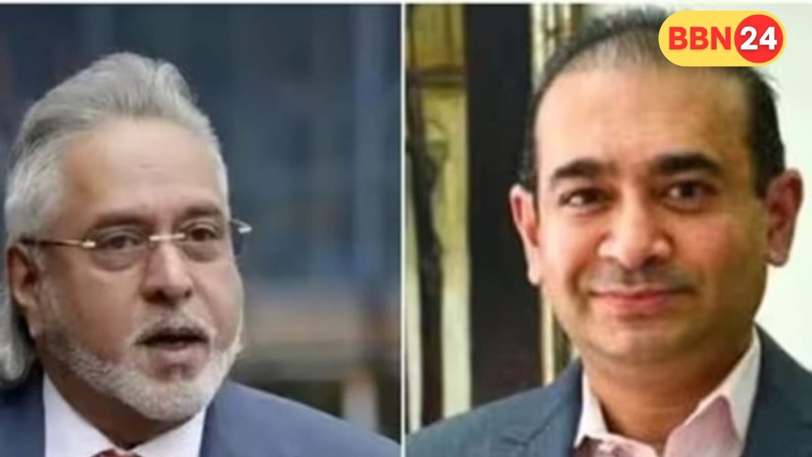 Vijay Mallya Nirav Modi Extradition Tihar Visit