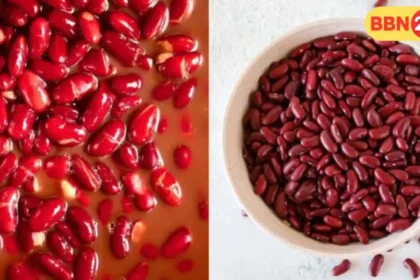 Eating Kidney Beans For Weight Loss