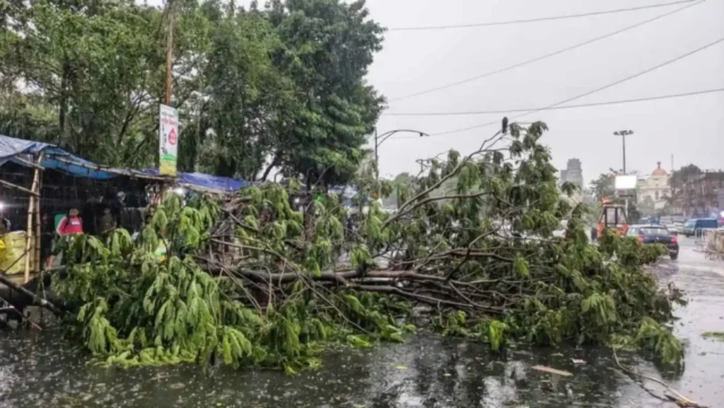 Storm Rain Havoc Up Bihar Deaths Weather Alert India