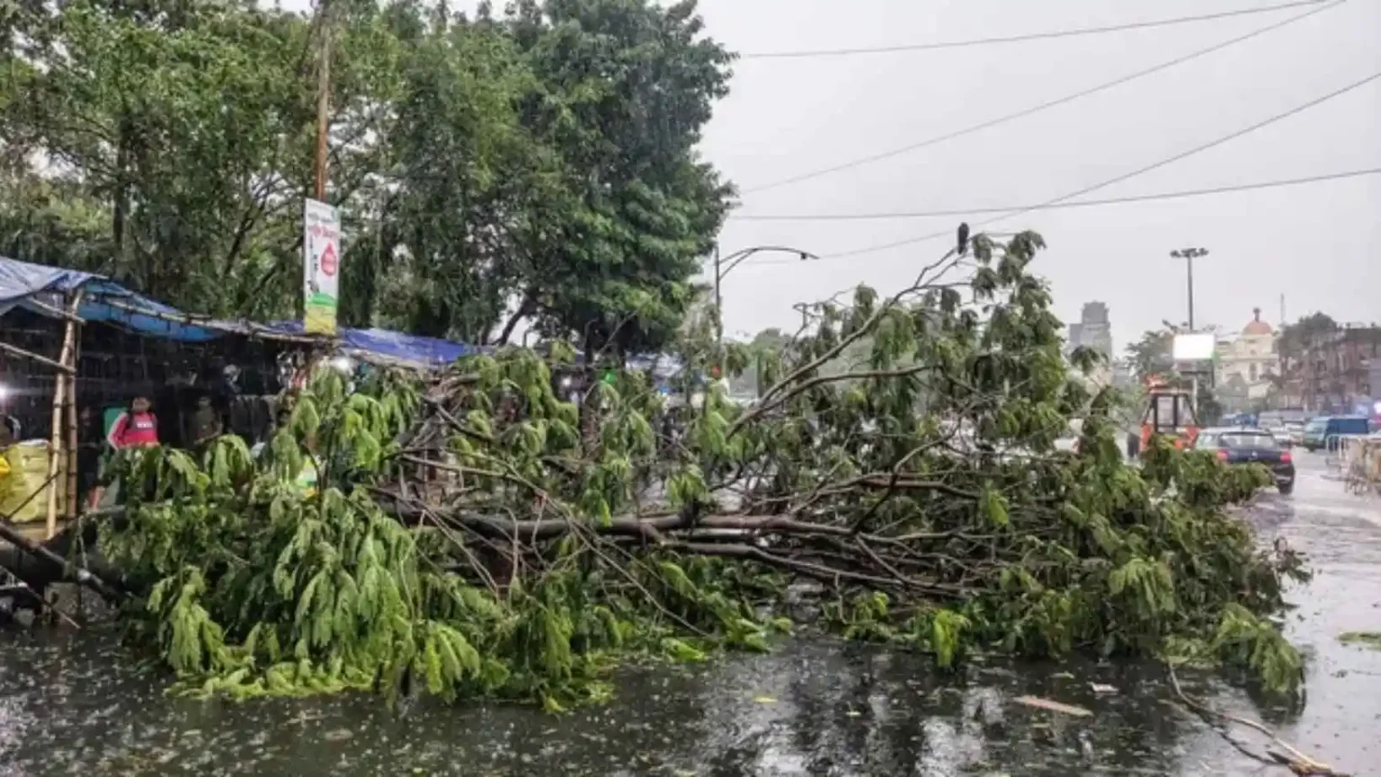 Storm Rain Havoc Up Bihar Deaths Weather Alert India