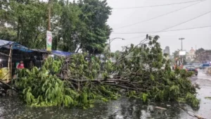 Storm Rain Havoc Up Bihar Deaths Weather Alert India