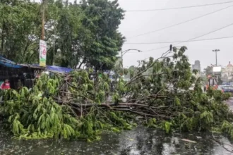 Storm Rain Havoc Up Bihar Deaths Weather Alert India