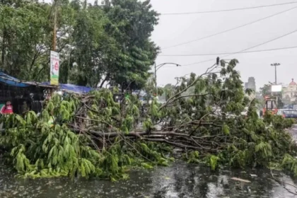 Storm Rain Havoc Up Bihar Deaths Weather Alert India